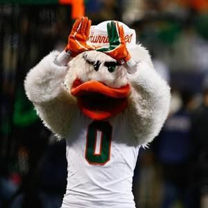 Meet your Posher, Donnell